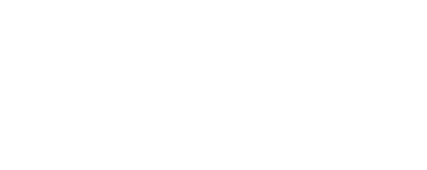 BOY SCOUTS